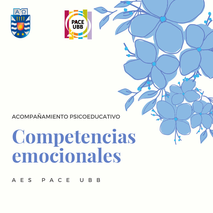 Competencias-Emocionales-1